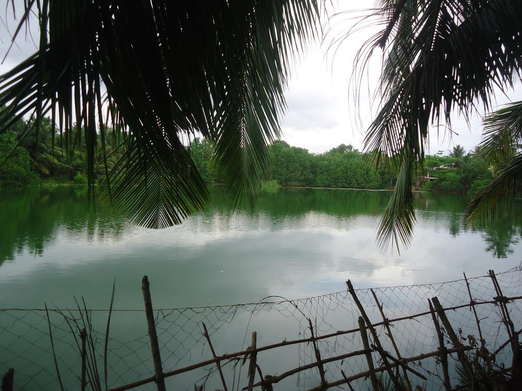 Lake View Cabana Paradise & Villa Tangalle Esterno foto
